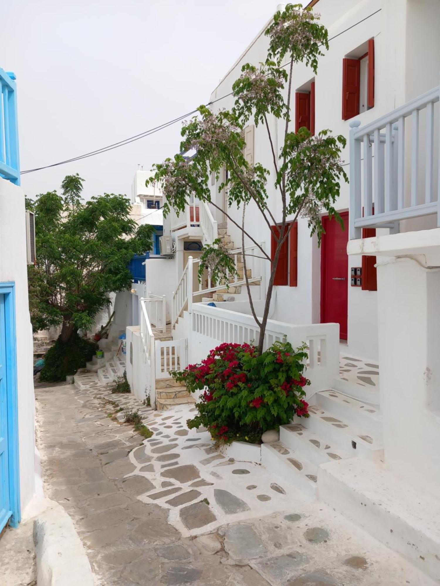 Alex Oldtown Sea View Rooms And Appartments Mykonos Town Exteriör bild