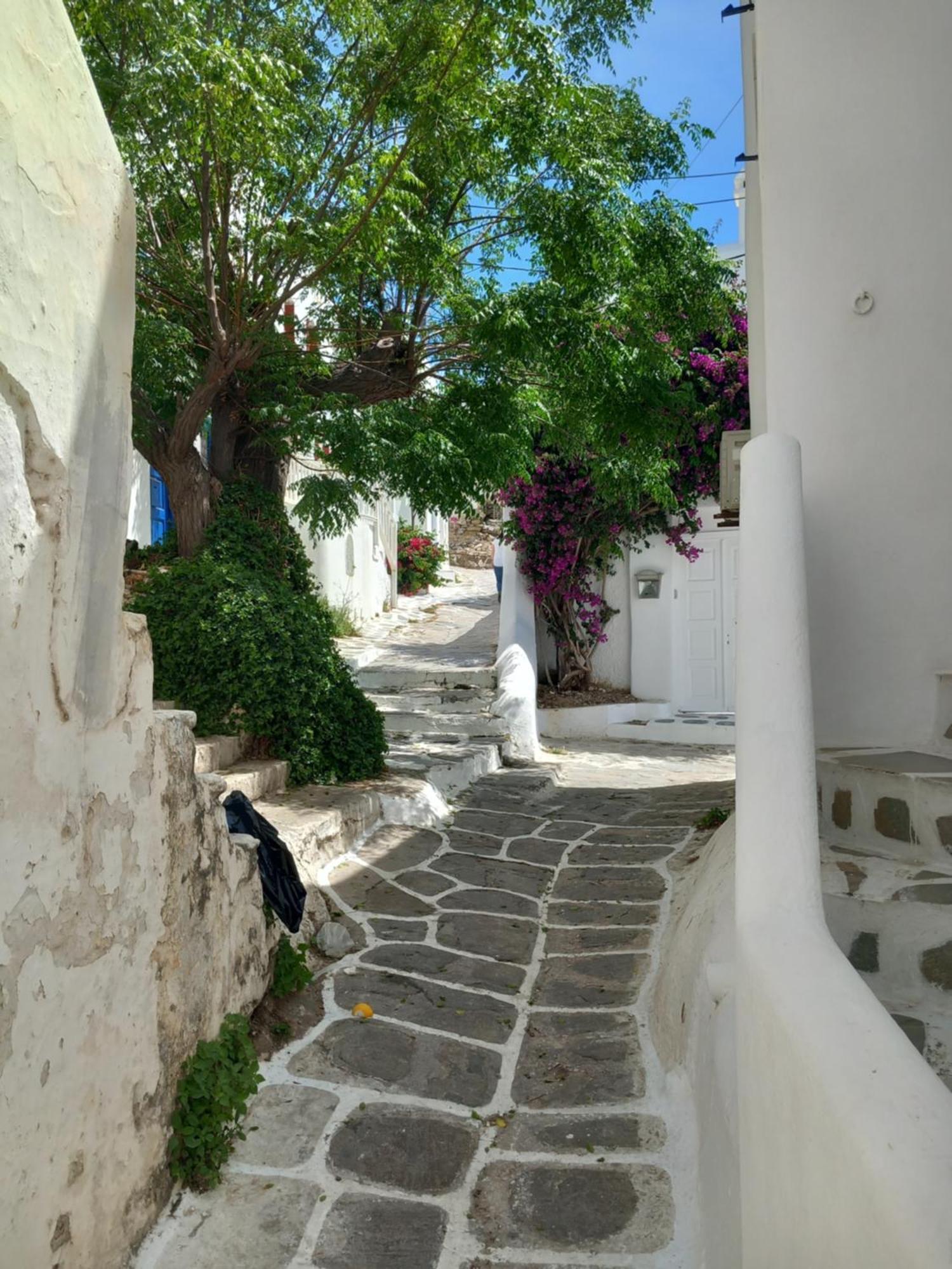 Alex Oldtown Sea View Rooms And Appartments Mykonos Town Rum bild