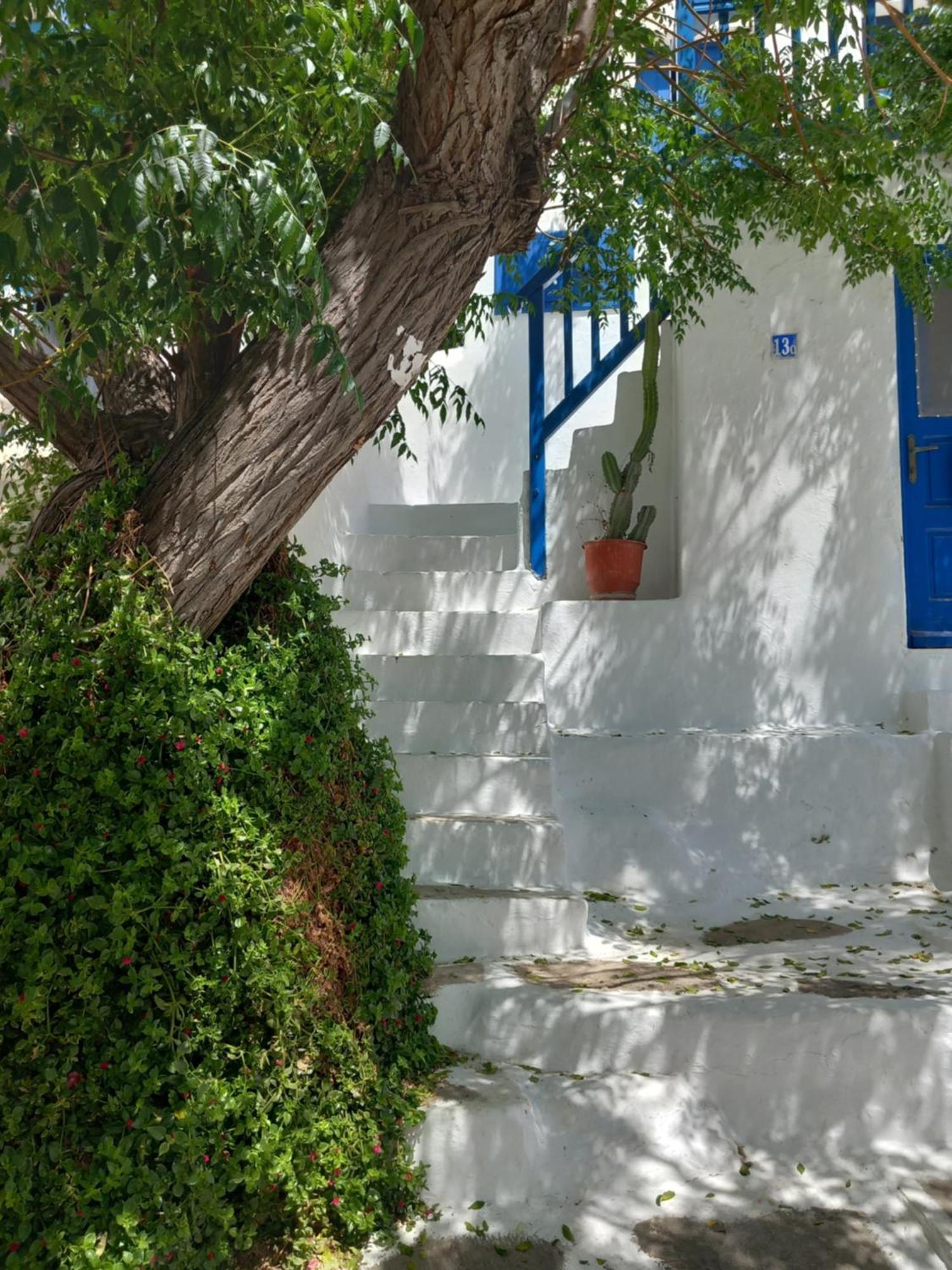 Alex Oldtown Sea View Rooms And Appartments Mykonos Town Rum bild