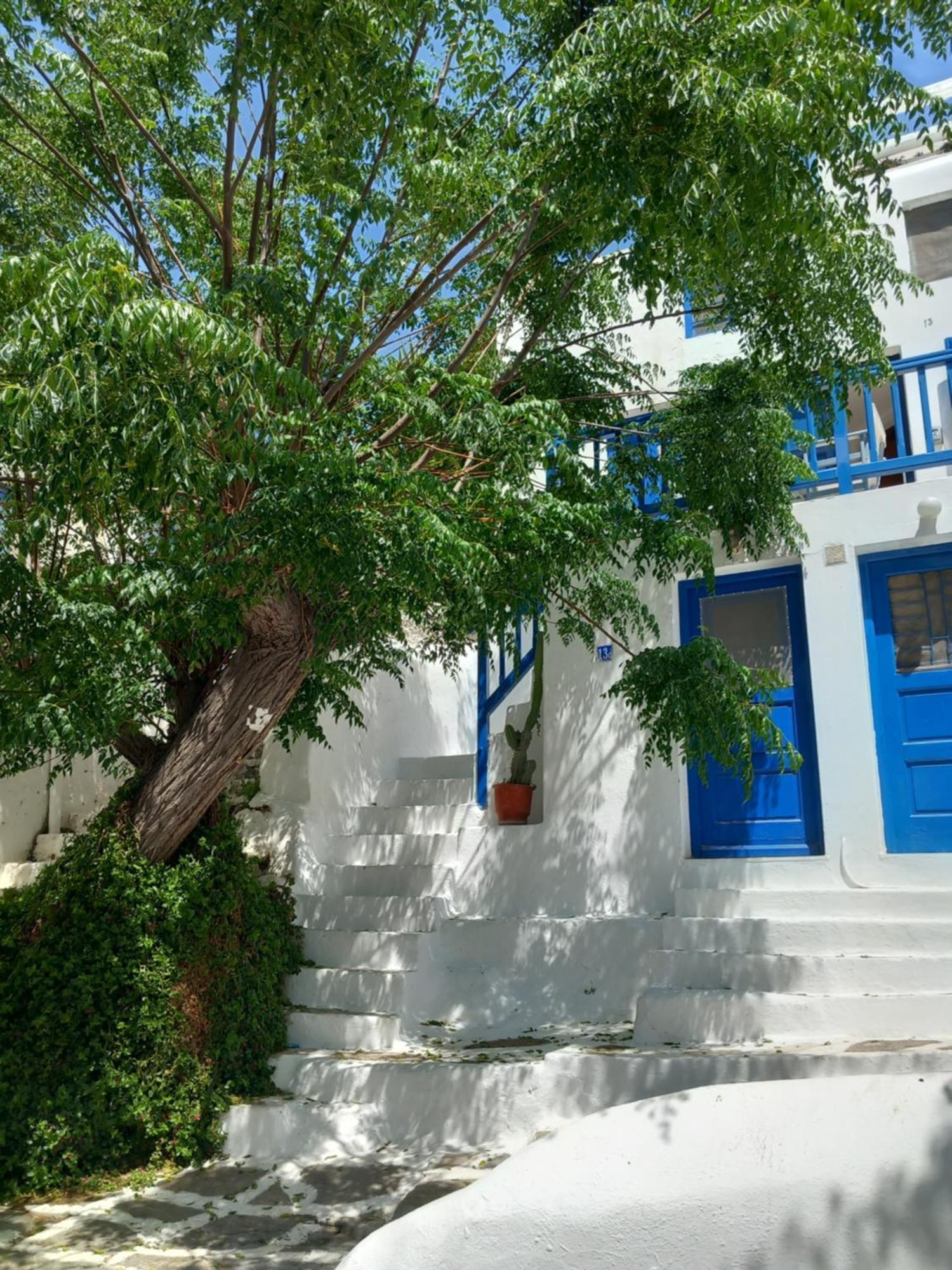 Alex Oldtown Sea View Rooms And Appartments Mykonos Town Rum bild