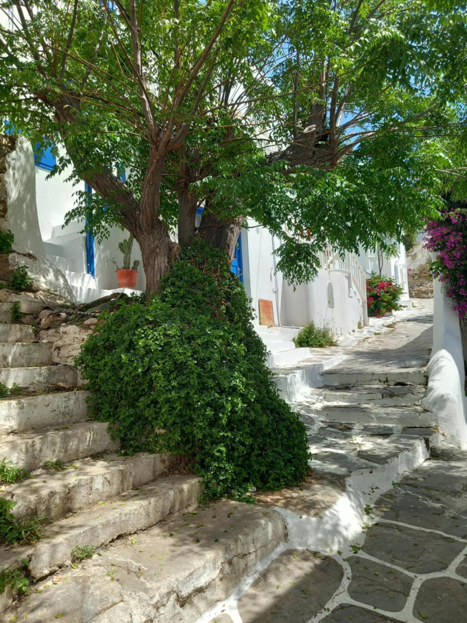 Alex Oldtown Sea View Rooms And Appartments Mykonos Town Exteriör bild